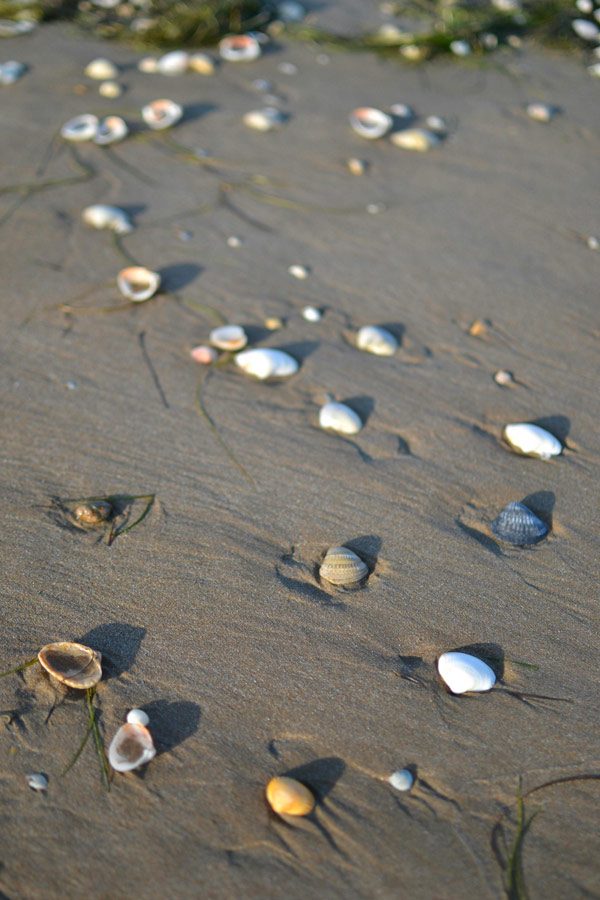 blog-plage-ile-de-re-ete-respadrilles blog-plage-ile-de-re-ete-respadrilles